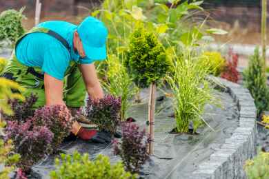 Mantenimiento en jardines hoteles